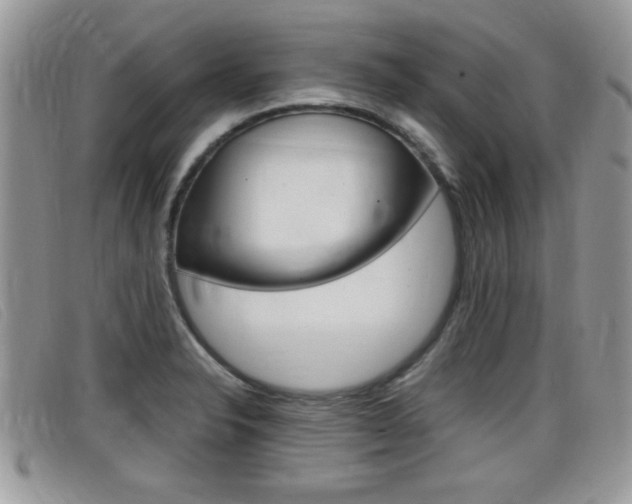 X0000099431326200805090718