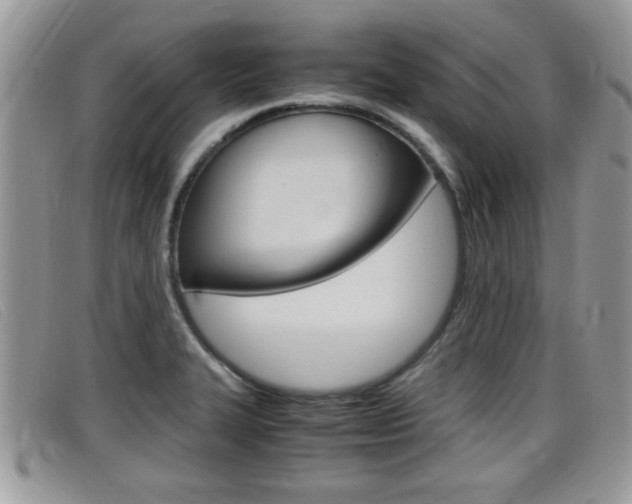 X0000099431327200805090718