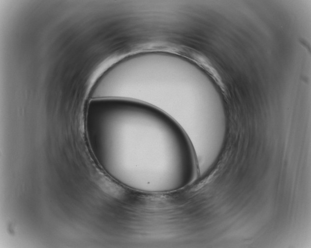 X0000099431328200805090718