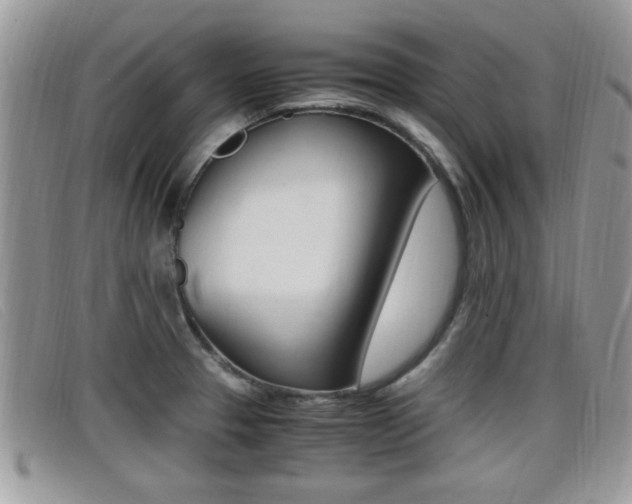 X0000099431329200805090718