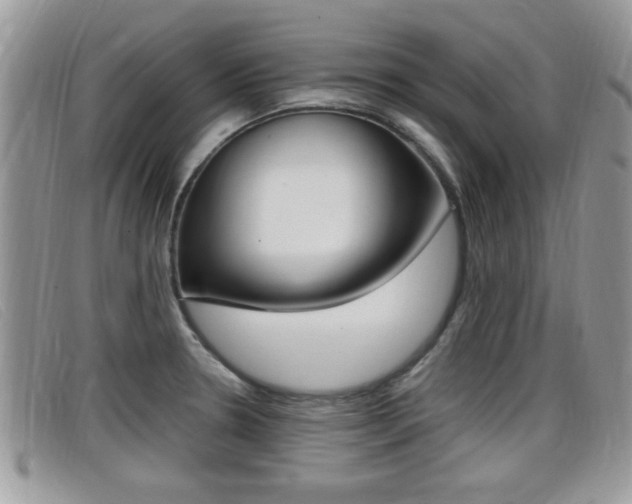 X0000099431330200805090718