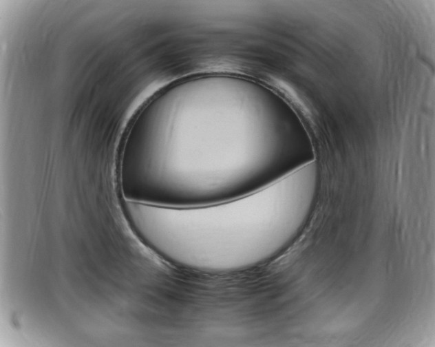 X0000099431331200805090718