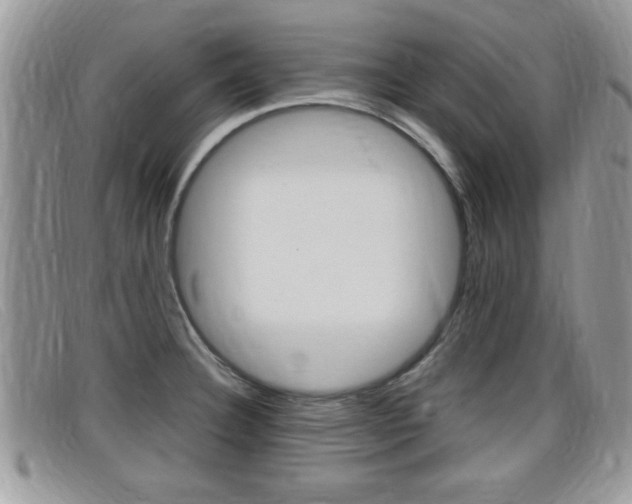 X0000099431332200805090718