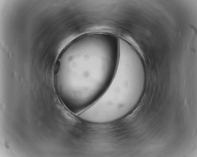 X0000099431336200805090718