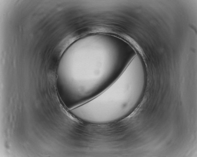 X0000099431337200805090718