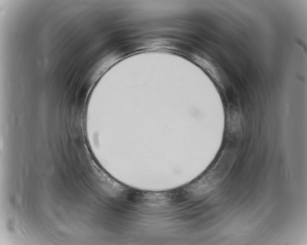 X0000099431338200805090718