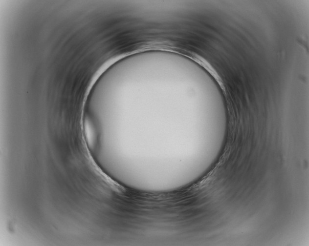 X0000099431339200805090719