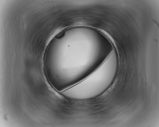 X0000099431341200805090719