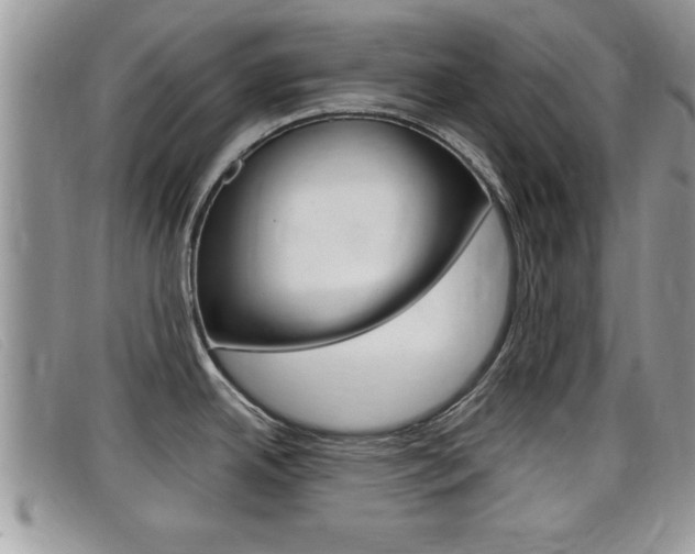 X0000099431342200805090719