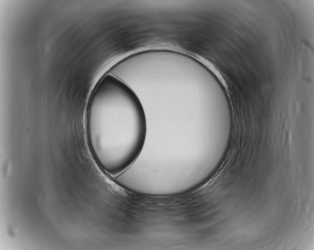 X0000099431343200805090719