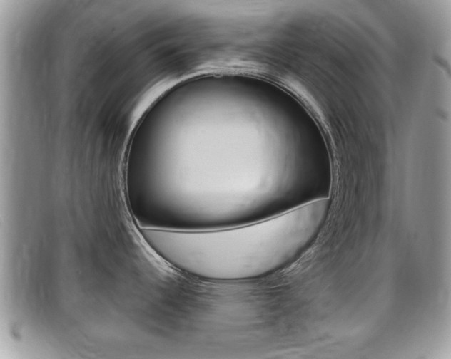 X0000099431344200805090719