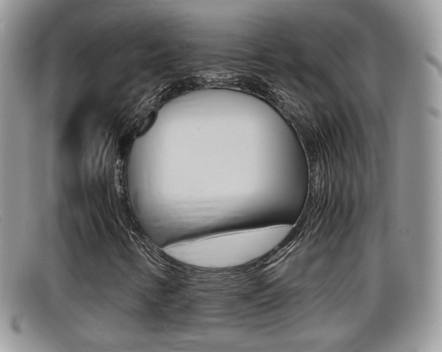X0000099431346200805090718