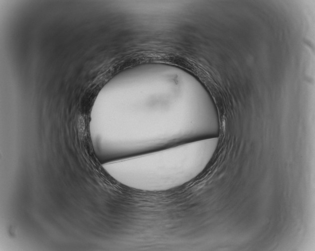 X0000099431347200805090718
