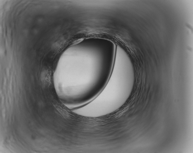 X0000099431348200805090718