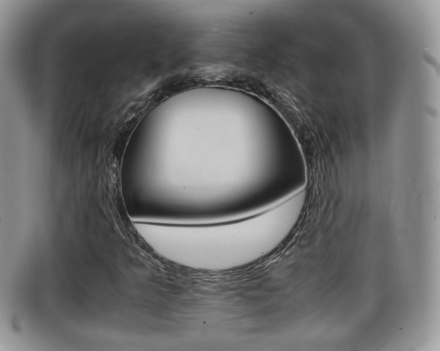 X0000099431349200805090718