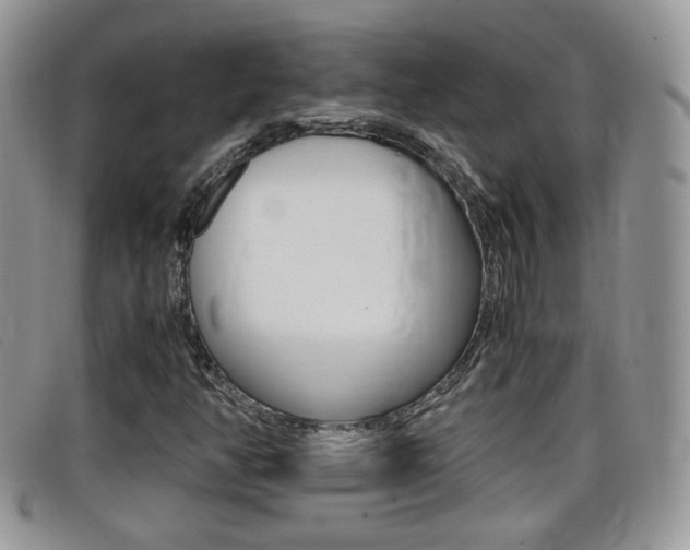 X0000099431350200805090718