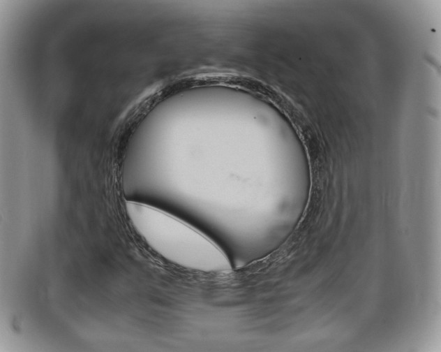 X0000099431351200805090718