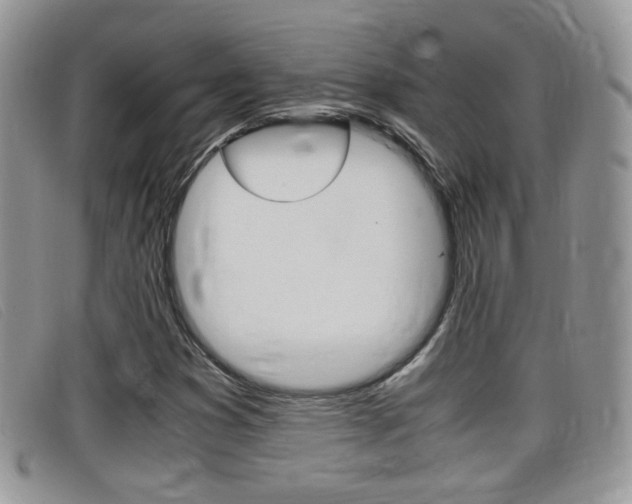 X0000099431353200805090718