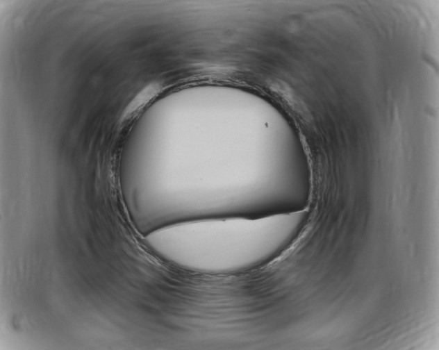X0000099431354200805090718