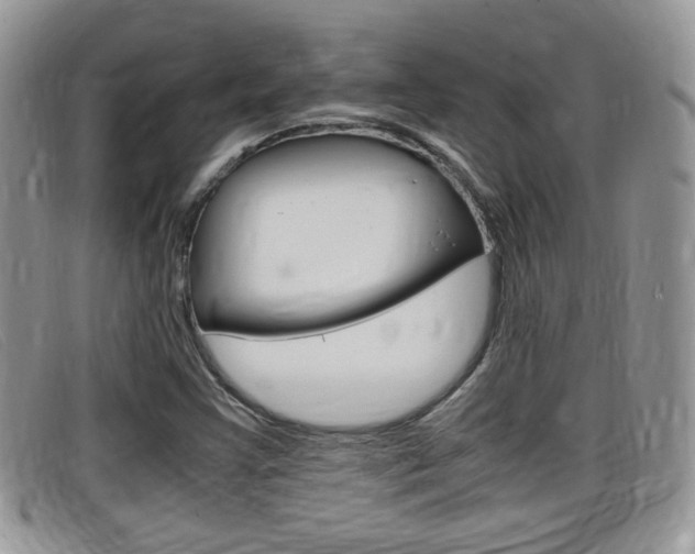 X0000099431355200805090718