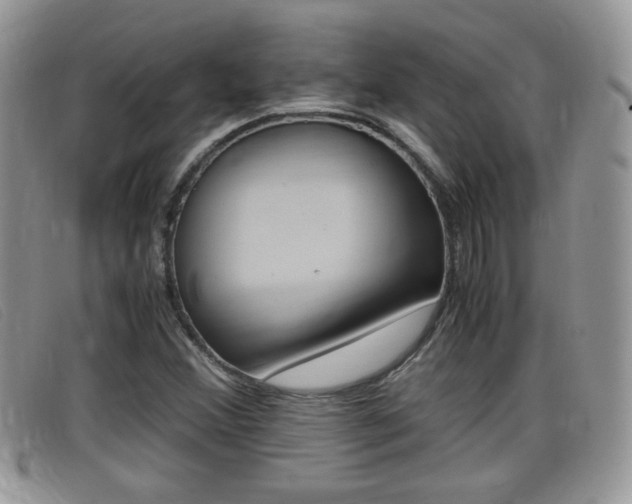 X0000099431356200805090718