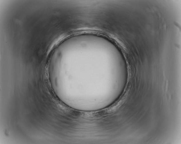 X0000099431357200805090718