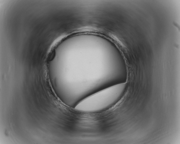 X0000099431358200805090718