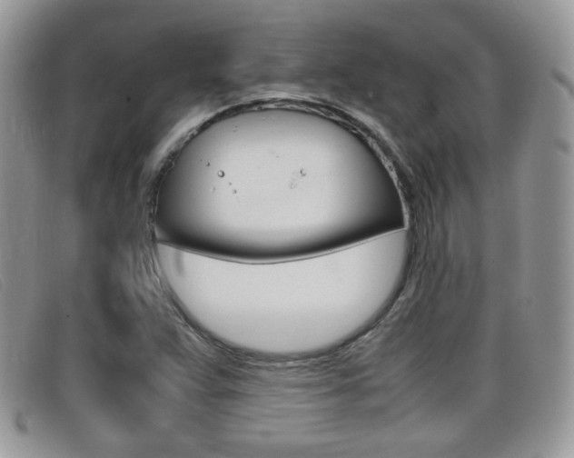 X0000099431359200805090718