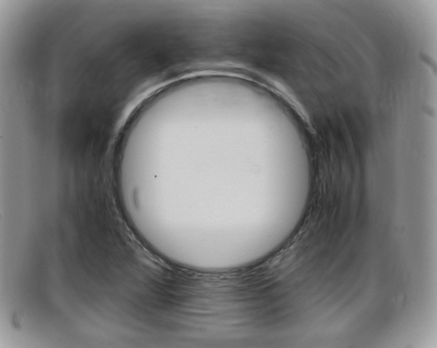 X0000099431360200805090718