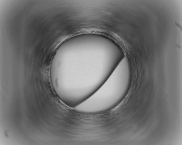 X0000099431361200805090718