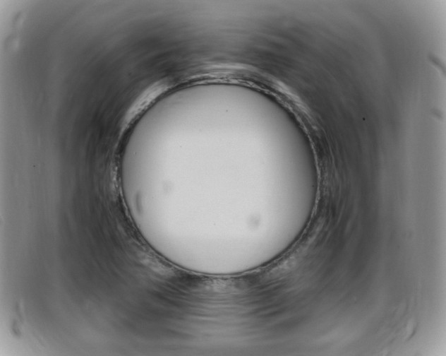 X0000099431362200805090718