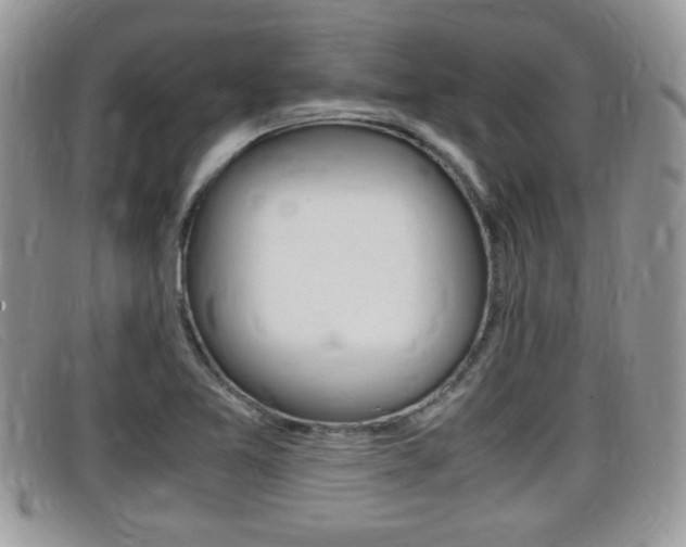 X0000099431365200805090718