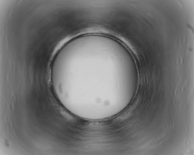 X0000099431366200805090718