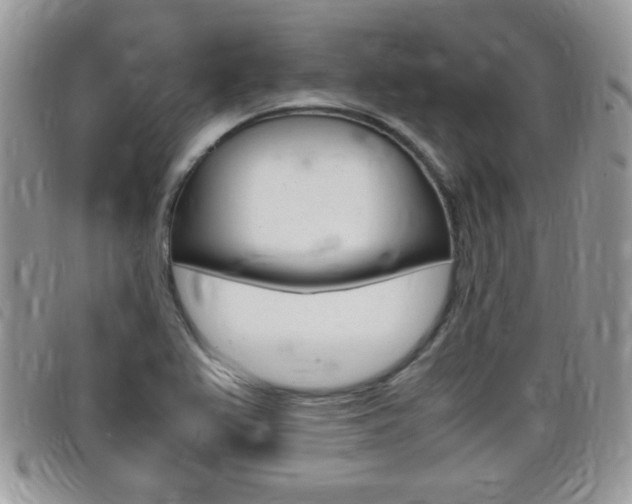 X0000099431367200805090718