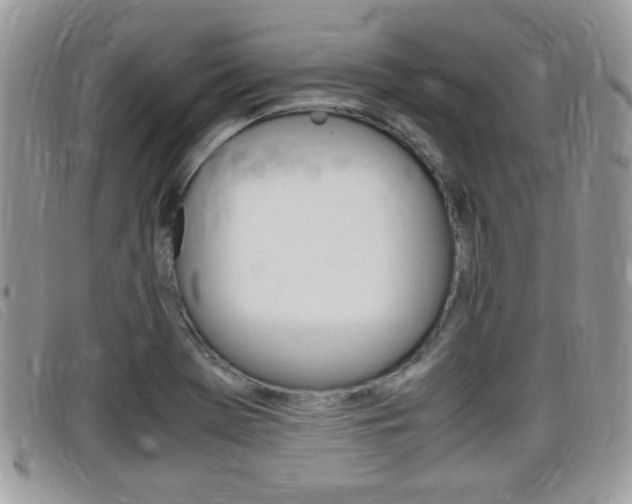 X0000099431369200805090718