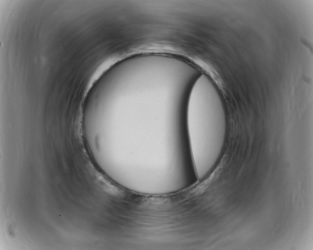 X0000099431374200805090718