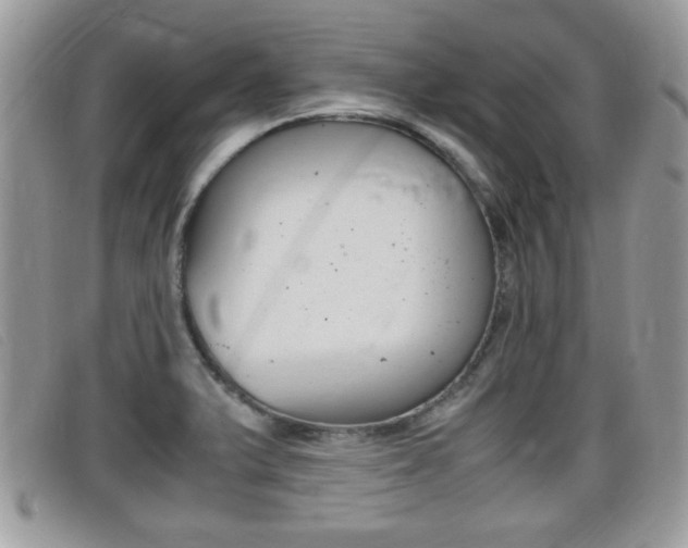 X0000099431375200805090718