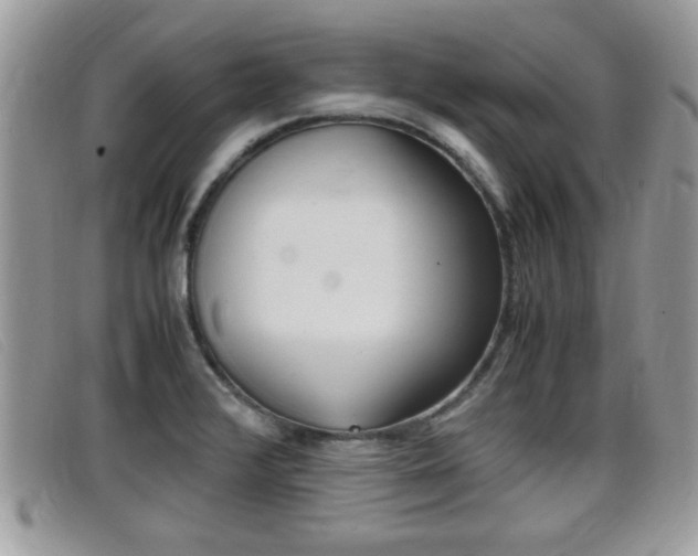 X0000099431376200805090717