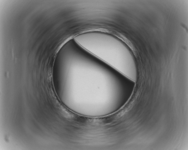 X0000099431377200805090717