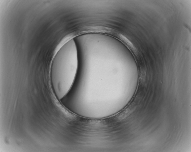 X0000099431378200805090717