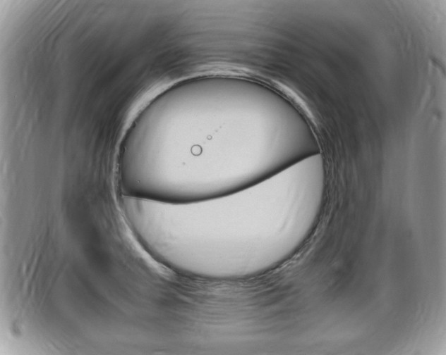 X0000099431379200805090717