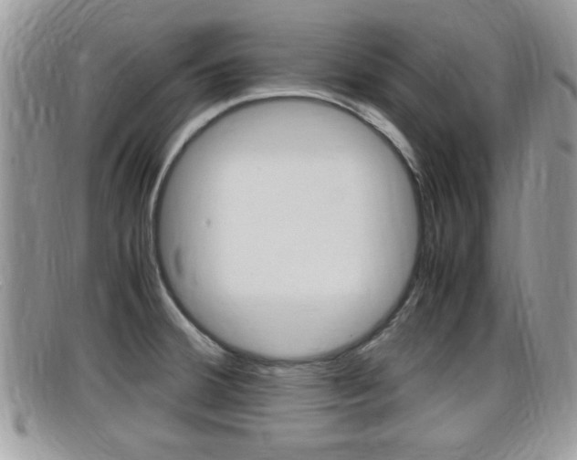 X0000099431380200805090717