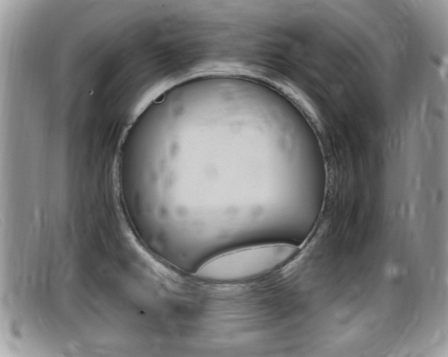 X0000099431382200805090717