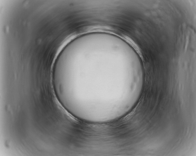 X0000099431384200805090717