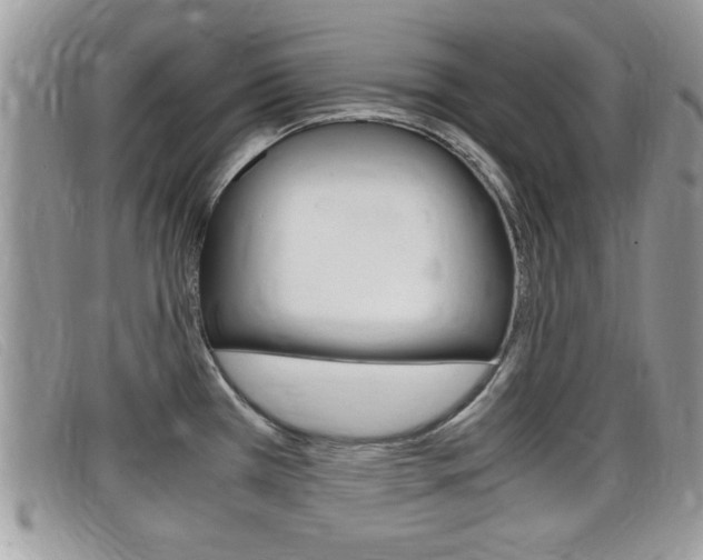 X0000099431385200805090717