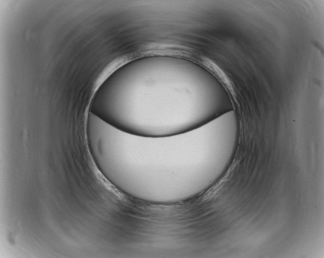 X0000099431386200805090717