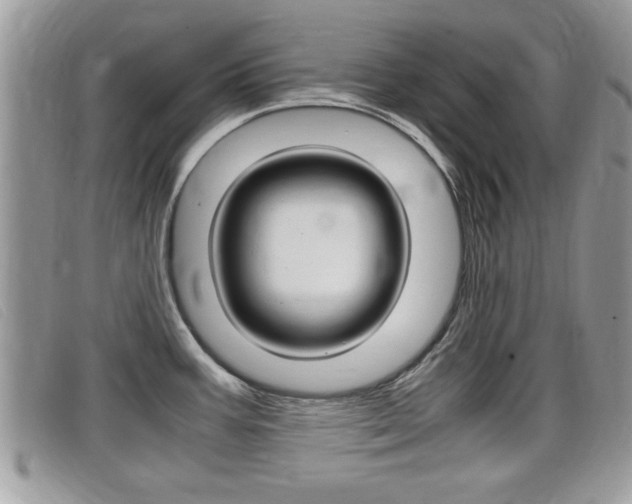 X0000099431387200805090717