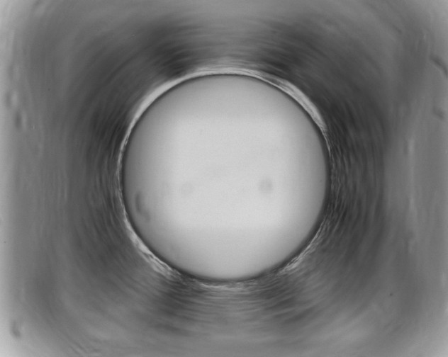 X0000099431388200805090717