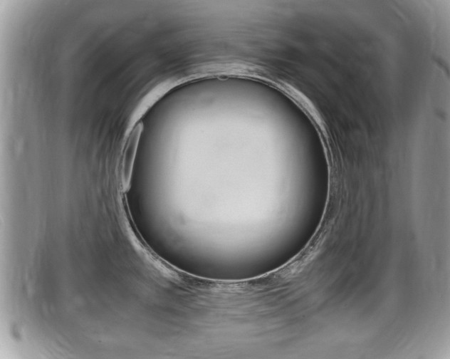 X0000099431389200805090717
