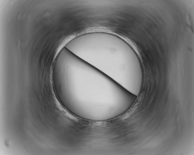 X0000099431390200805090717